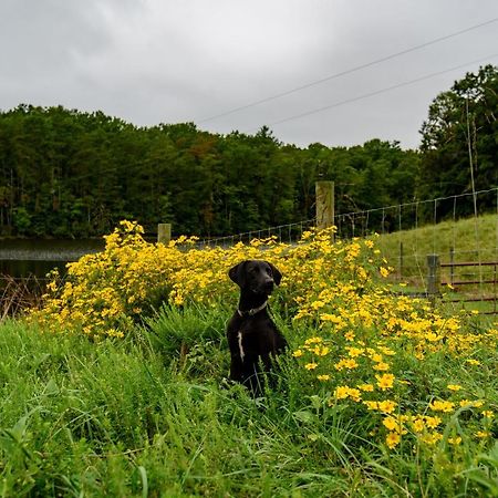 Wolf Creek Farm B&B And Motorcycle Manor At Wolf Creek Farm, Llc Ararat エクステリア 写真