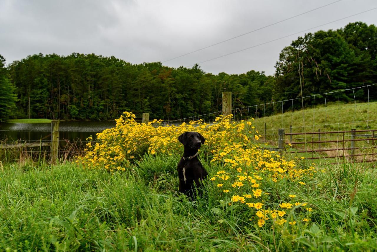 Wolf Creek Farm B&B And Motorcycle Manor At Wolf Creek Farm, Llc Ararat エクステリア 写真
